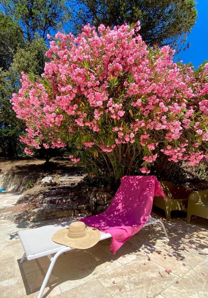 La Bastide Blanche Magnifique Villa 5 Etoiles 5 Chambres Et Piscine Privee Sur 6500 M Var لورج المظهر الخارجي الصورة